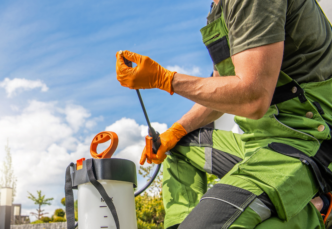 Protect Your Home: The Crucial Role of Fumigation in Termite Control